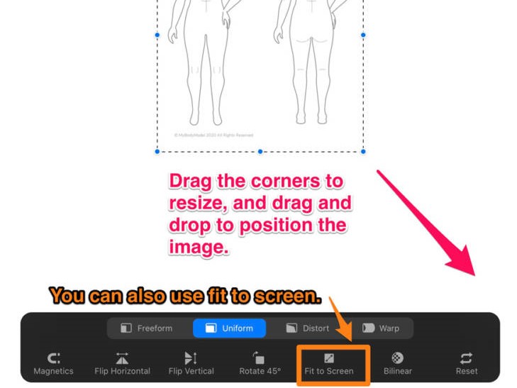 How to drag the image corner to resize the My Body Model to fit the page in Procreate.